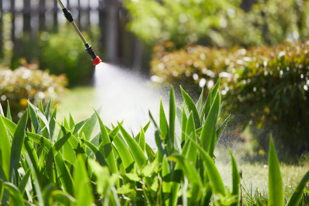 24/7 Emergency Ant Control experts in Moore, OK