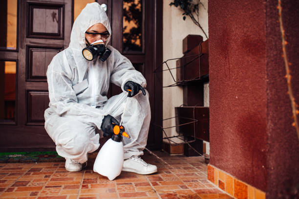 Reliable Ant Control contractor in Moore, OK by Show Me Pest Control