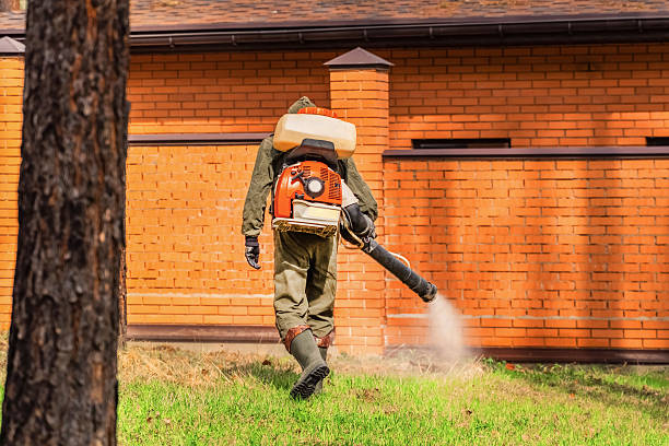 Top rated local Ant Control specialists in Moore, OK